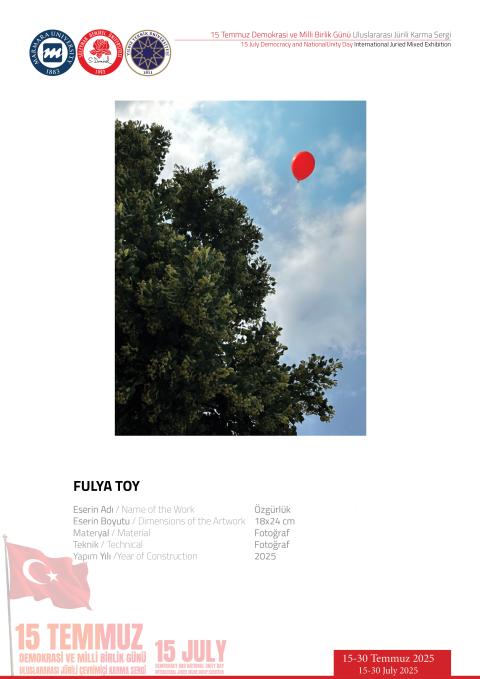 FULYA TOY